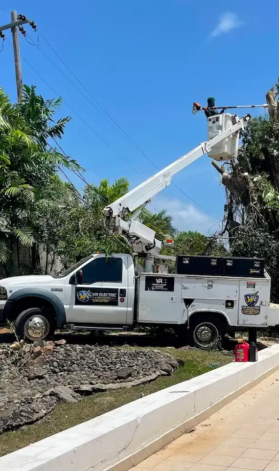 desbranche-de-arboles-altos-servicio-electrico